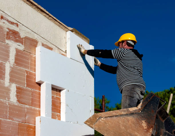 Best Residential Insulation in Shingle Springs, CA