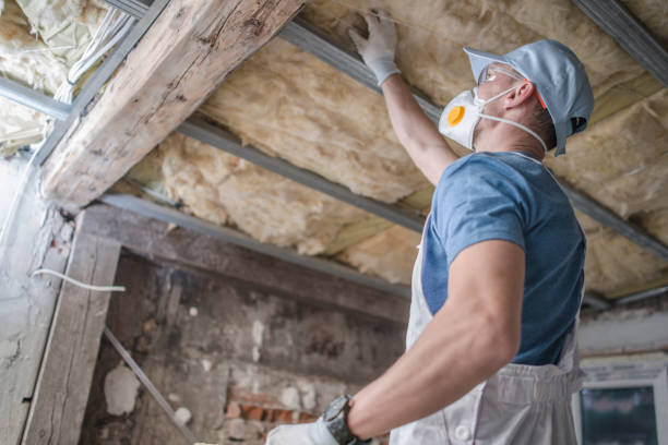 Best Eco-Friendly Insulation in Shingle Springs, CA