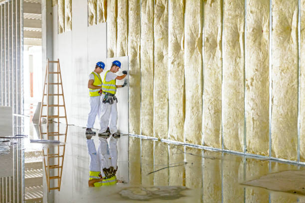 Best Blown-in Insulation in Shingle Springs, CA